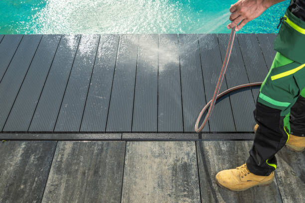 Best Roof Power Washing Services  in Shenandoah, VA