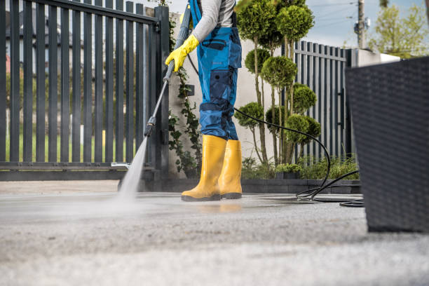 Local Pressure Washing Services in Shenandoah, VA