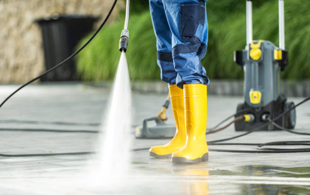 Best Deck Cleaning Services  in Shenandoah, VA