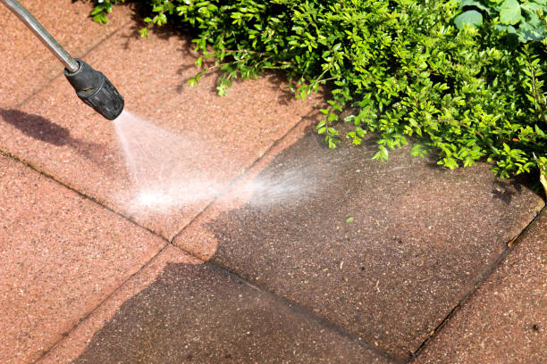 Best Pressure Washing Near Me  in Shenandoah, VA